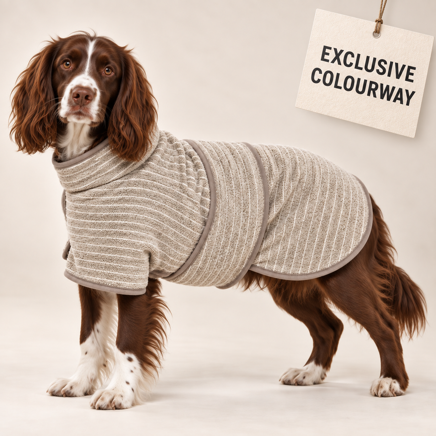 Springer spaniel wearing the exclusive Tiramisu Pattern WoofWears dog drying robe